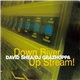 David Shea / DJ Grazhoppa - Down River, Up Stream!